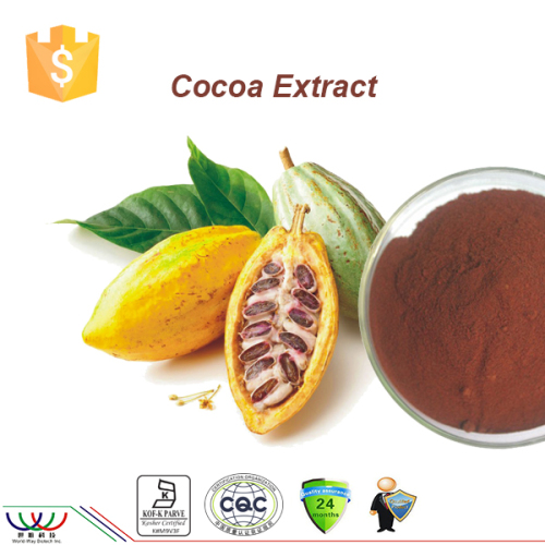 World-way Biotech black cocoa powder with 10% 20% Theobromine