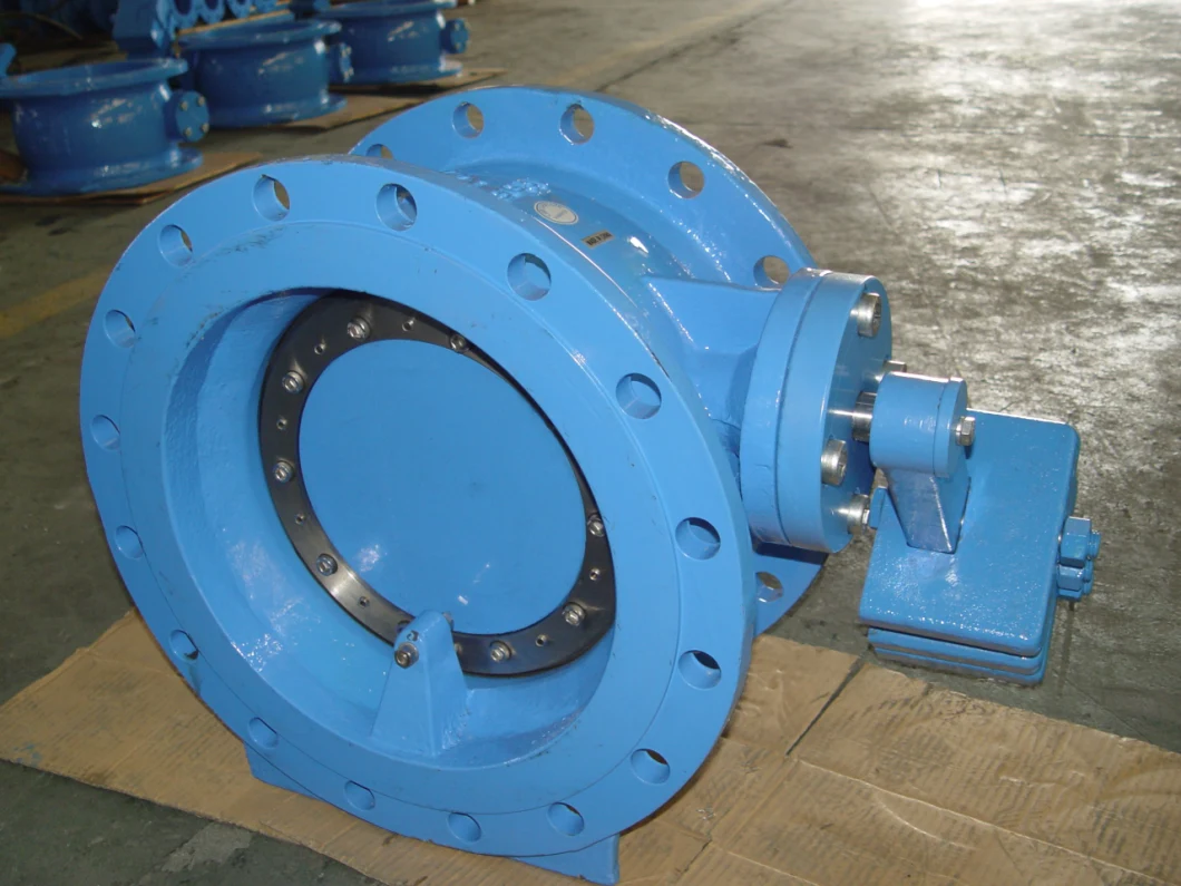 Butterfly Check Valve with Lever