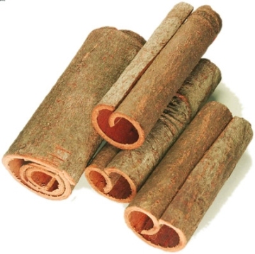 cassia tube dong duong cassia oil from professional manufacturer