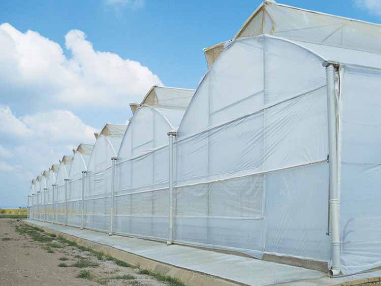 Poly multi span Greenhouse film greenhouse flower greenhouse