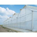 Poly Multi Multi Span Greenhouse Greenhouse Flower Greenhouse