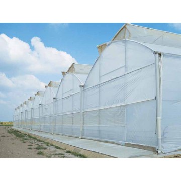 Poly multi span Greenhouse film greenhouse flower greenhouse