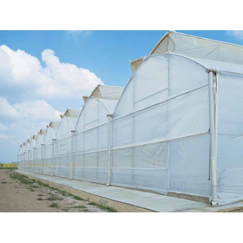 Poly Multi -Span Greenhouse Film Film Flower Grulhouse