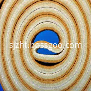 Polyester Endless Belt 