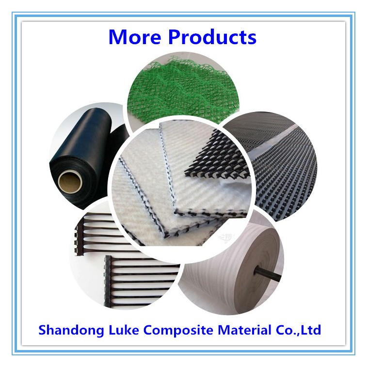 HDPE Drainage Sheet,dimple drain sheet,hdpe drainage board sheet