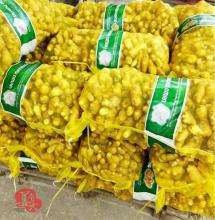 2020 new crop air dired ginger,fresh ginger