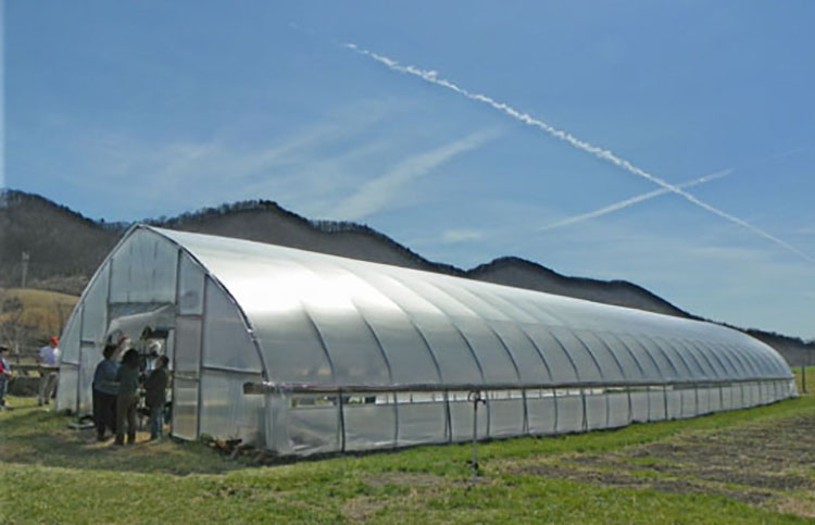 Prefabricated Tunnel Plastic Greenhouse