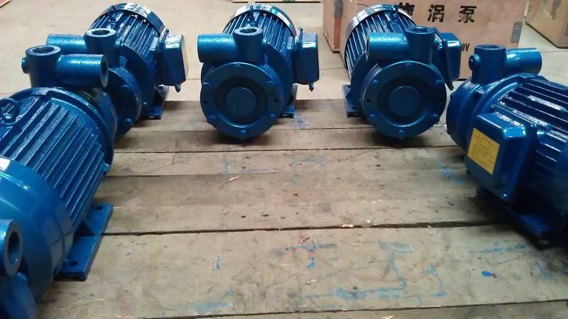 1W single stage vortex pump 3