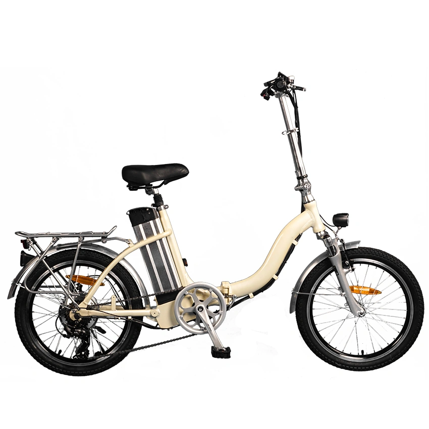 2020 New Style Electric Bicycle Most Safe Traffic Tooling for Work Way