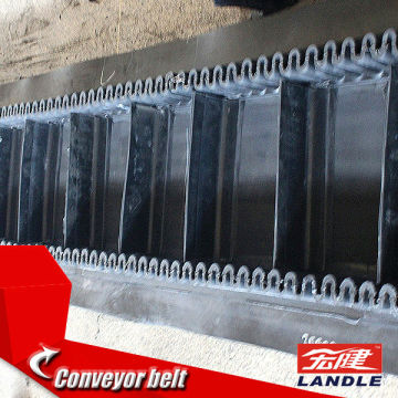 New Type High temperature side wall corrugated conveyor