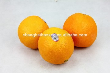 Import Agent of Mandarin Orange for Customs Clearance