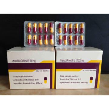 Amoxicilina cápsula 500mg AMOXIL BP