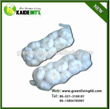 China Garlic Product