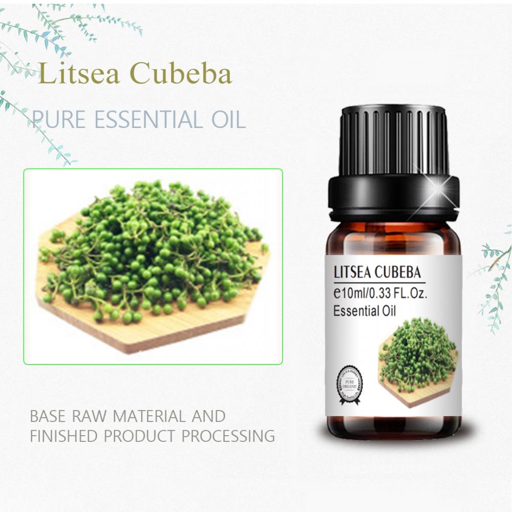 卸売バルクLitsea Cubeba Oils Skincare Massage