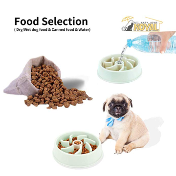 Anti-Gulping Pet Slower Food Dish