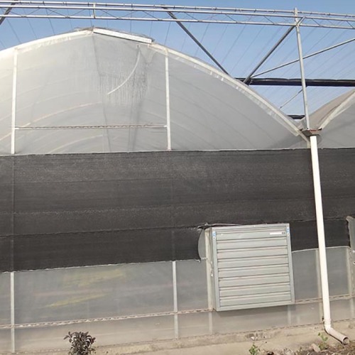 Large Plastic Film Multi Span Greenhouse