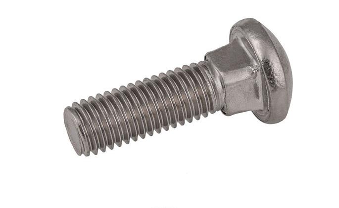 SS 304&316 stainless steel neck bolt price