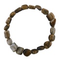 Picture Jasper