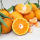 Nouveaux oranges au nombril biologiques fraîches