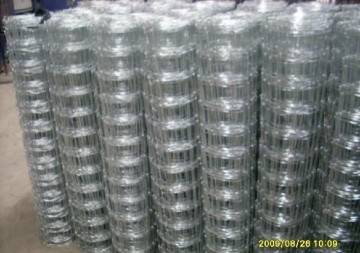 Hot dipped galvanized Horse wire fence