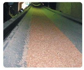 oil resistant conveyor belt