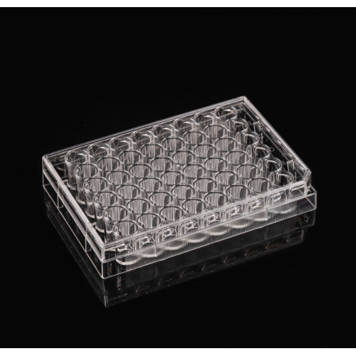 Non-treated 48 well Cell Culture Plates