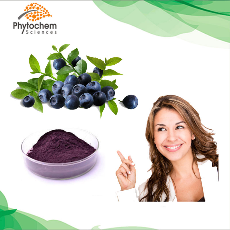 25% anthocyanidins natural european bilberry extract