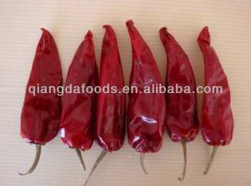 2012 best selling of dry jinta chili