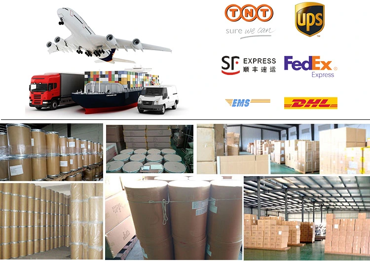 Pharma Grade Norfloxacin USP Raw Material Norfloxacin Powder CAS 70458-96-7