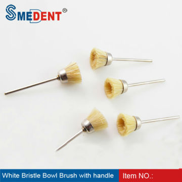 dental lab brushes