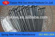 construction wire nails common nail facory (Factory) roofing nails