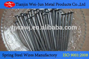 construction wire nails common nail facory (Factory) roofing nails