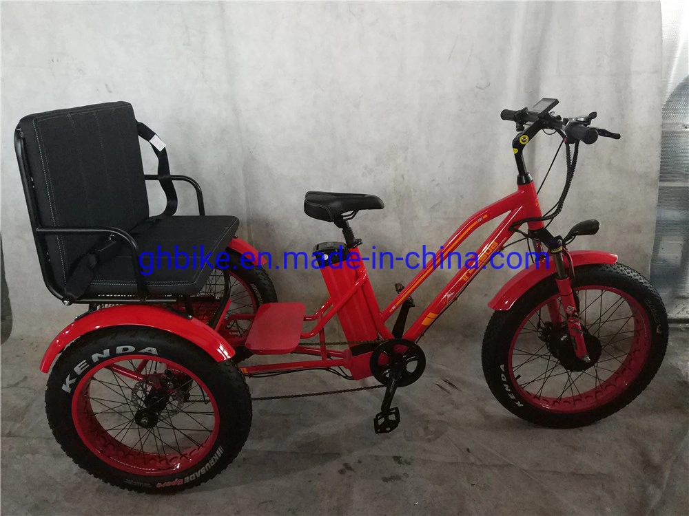 750W Adult 3 Three Wheels Cargo Bike Electric Fat Tricycle