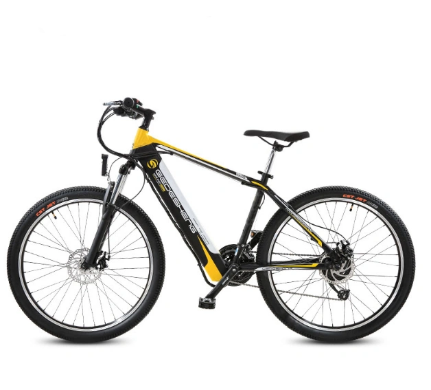 Wholesale 36V 350W Mountain Electric Bicycle with Tektro Hydraulic Brakes