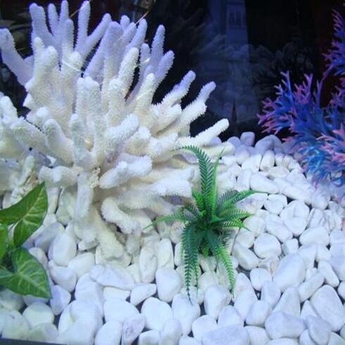 Pierre naturelle de galets blancs pour aquarium
