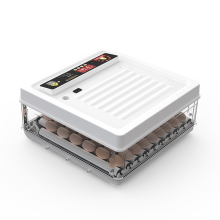 70-Chicken Egg Capacity Automatic Incubator for Hatching Eggs