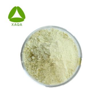 Extrait de galanga anti-cancer Kaempferol Powder Price