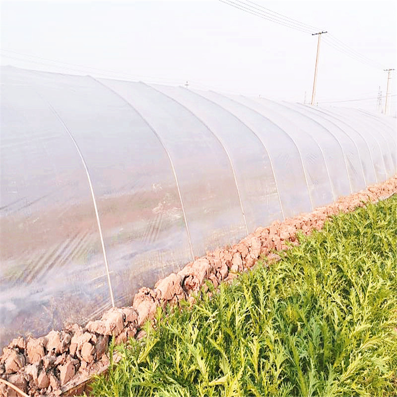 Biodegradable greenhouse plastic film (4)