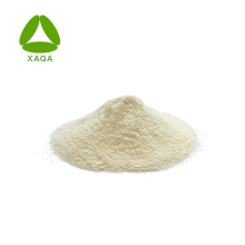 Orange Peel Extract 98% Hesperidin Pulver