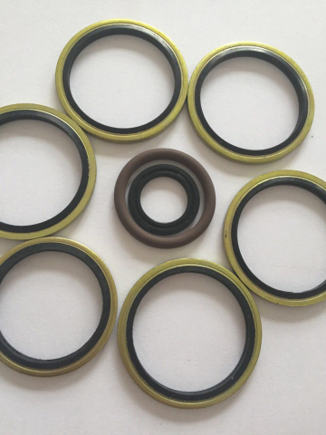 Rubber Bonded Seal Gaskets