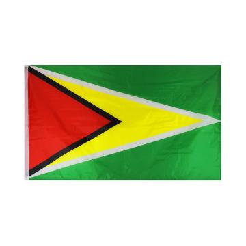 Wholesale Silk Printing Polyester Guyana Flag