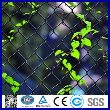 Chain Link Fence For Baseball Fields