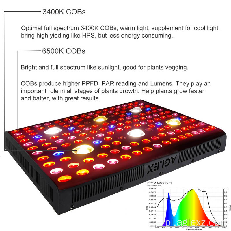 Szerokie spektrum światła LED do uprawy grzybów
