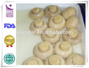 Canned mushrooms(canned champignon,canned food)