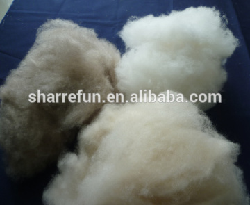 dehaired and carded mongolia goat cashmere fibres