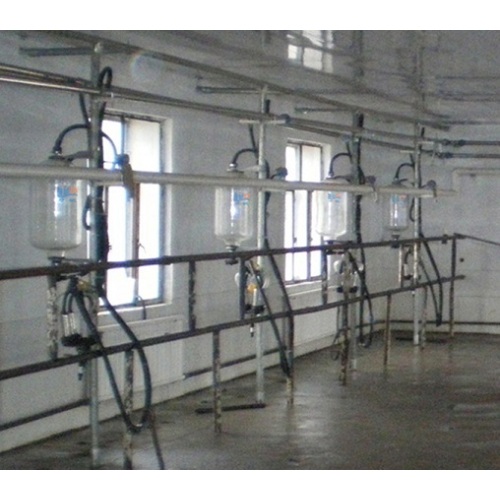 Sala di mungitura automatica per vacche da latte