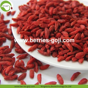 Nhà máy Bán buôn Nutrition Natural Ningxia Wolfberry