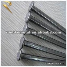 Common Round Nail(Factory)