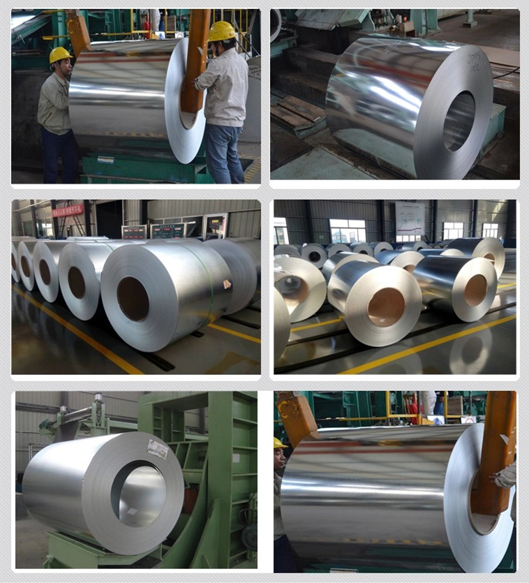 Galvanized Steel Coil DX51D DX53D China Manufacturer Galvanized Steel Coil Sheet