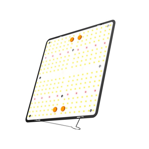 100W LED Grow Light Board
